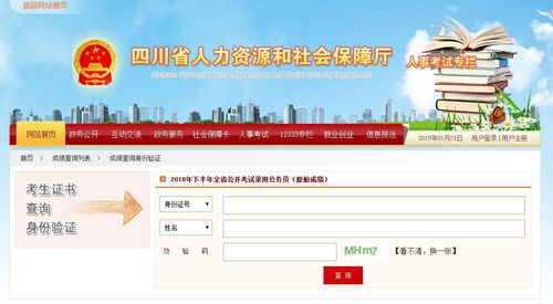 四川人事考试网报名指南：一键了解网上报名流程及重要注意事项 4