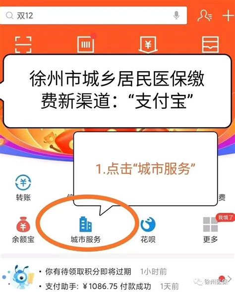 徐州医保网上缴费怎么操作？ 4