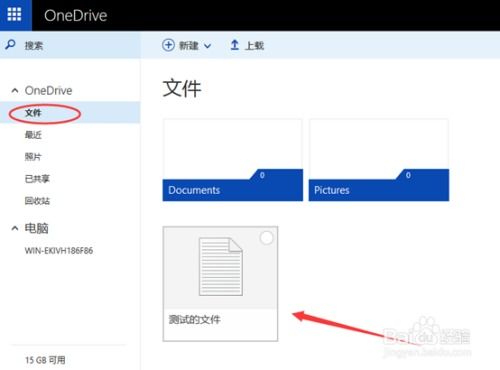 如何访问Windows SkyDrive（OneDrive）网盘 3