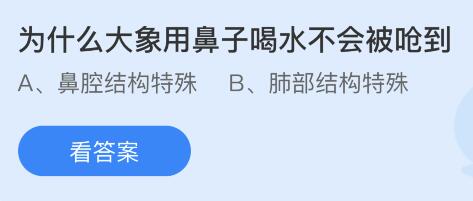 课堂疑问：大象用鼻子喝水为何不会呛到？ 1