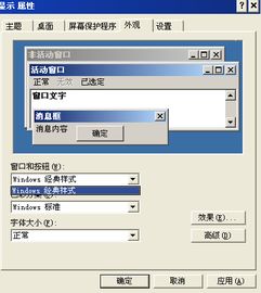 如何更改Windows XP系统的外观与主题？ 2