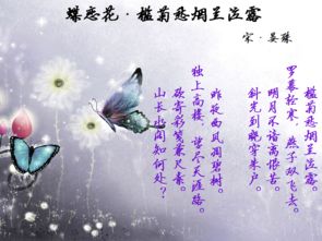 花间蝶舞恋诗韵 3