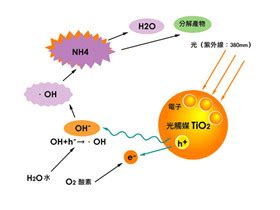 新房甲醛清除：6大实用方法 1