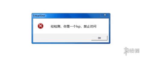 请问'lsp'是什么意思，具体指什么？ 2