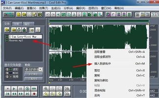 轻松掌握：用Cool Edit Pro制作个性化铃声教程 2