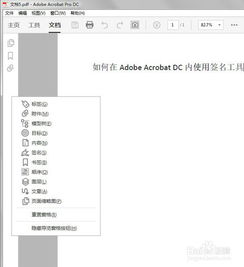 如何使用Adobe Acrobat创建数字签名？ 3