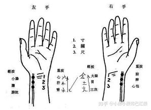 《想知道易筋经心法口诀全文？这里有你想要的答案！》 3