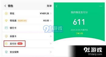 揭秘！如何轻松查看你的微信支付分？ 2