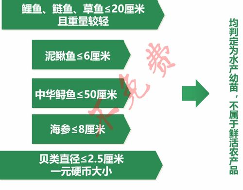 2019年高速绿通免费标准详解 2