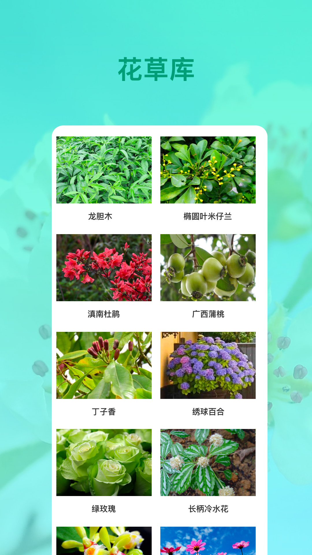 识花app 截图3