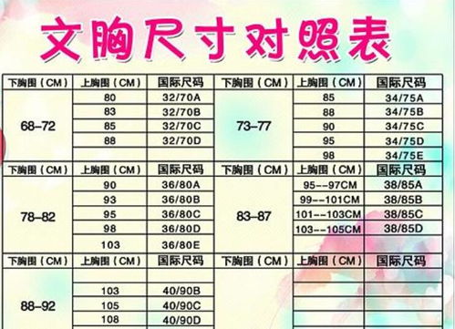 36C胸围尺寸详解 2