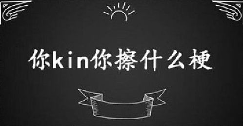 请问'kin擦'是什么意思？ 2