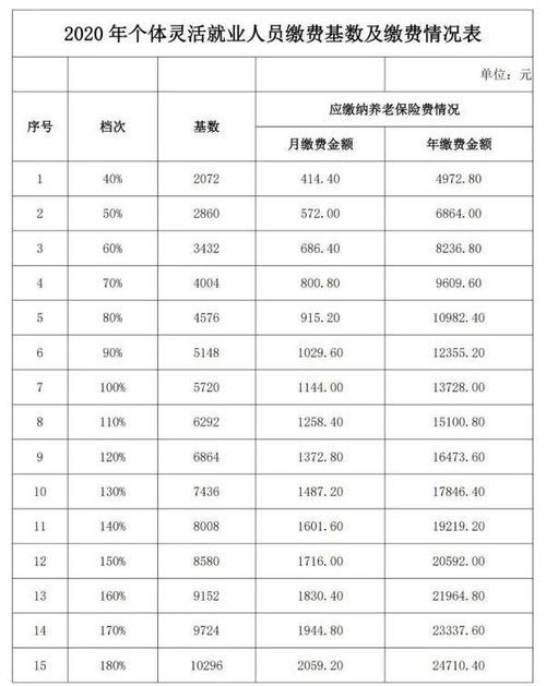 西安灵活就业人员必看：轻松指南，教你如何高效完成社保缴费 2