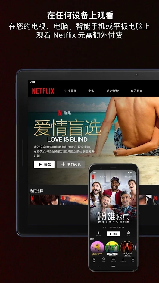 网飞netflix 截图6