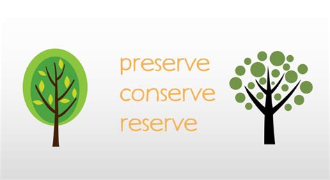 揭秘！reserve、conserve和preserve的真正区别是什么？ 3