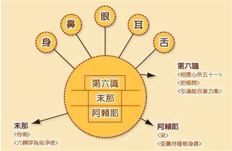 揭秘：第九、第十、第十一识的奥秘与深层含义 5