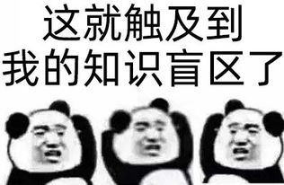 揭秘！轻松学会打出倒问号，掌握“¿”字符输入技巧 2