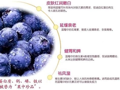 花青素与原花青素：关键差异解析 5