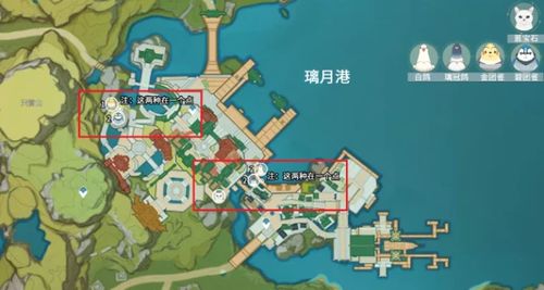 《原神》碧团雀全地图位置大揭秘