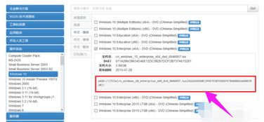 轻松指南：如何在MSDN高效下载Windows 10官方镜像 3