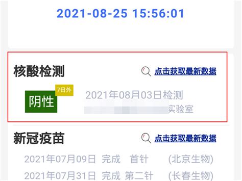 如何在支付宝上查询核酸检测报告 2