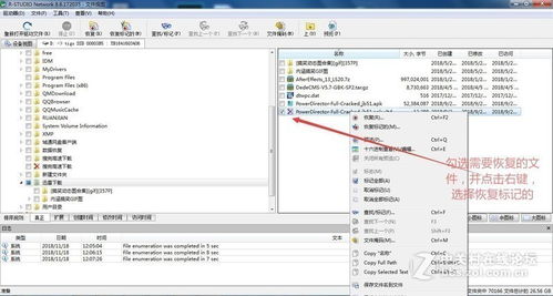 FinalData数据恢复工具详细使用指南 4