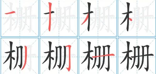 子字常用组词大全 3