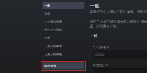 如何解决Steam库存设置为私密状态的问题 4