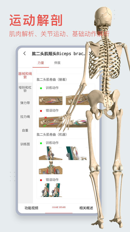 3dbody解剖图 截图2