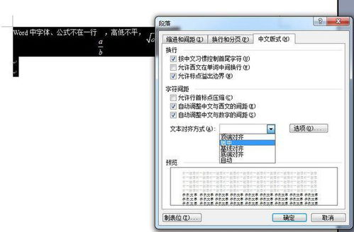 Word 2010 高效公式编辑器 2