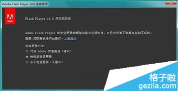 Adobe Flash Player使用指南 3