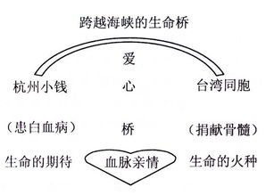 生命之链的寓意探究 1