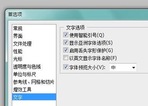 解锁PS文字样式：轻松实现中文完美显示技巧大揭秘！ 3