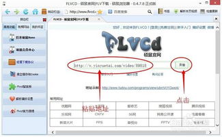 轻松学会：从在线视频网站下载视频的技巧 2