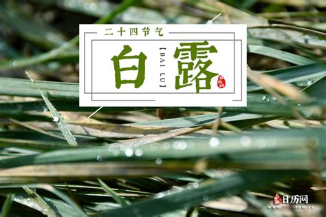 2022年白露确切时分及当日适宜活动 3