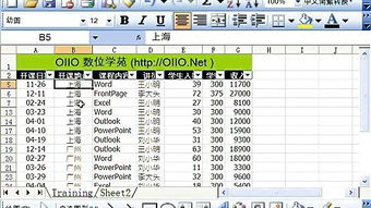 Excel2003新手必看：如何快速掌握表格的基本操作技巧？ 3