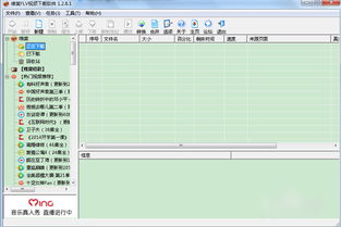 如何使用维棠FLV视频下载软件 3