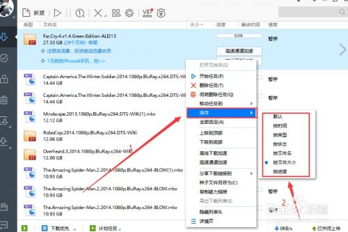 如何设置迅雷极速版下载文件的排序方式 3