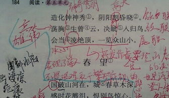 辨析古诗词：'荡胸生层云'中的'层'与'曾'哪个字更恰当？ 3