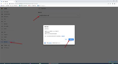 Chrome谷歌浏览器为何无法打开网页？ 4