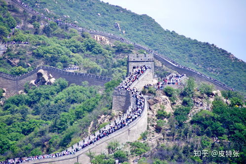 探秘八达岭长城：详尽旅游攻略带你领略千年古韵 2