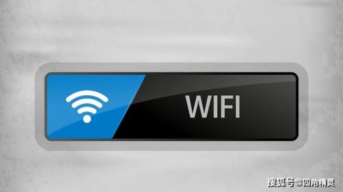 蚂蚁庄园揭秘：WiFi辐射真的威胁健康吗？ 3