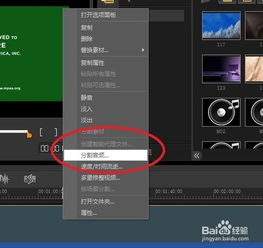 精通会声会影X5：全面使用教程指南 4