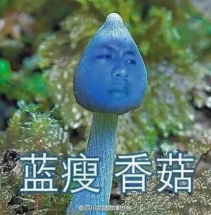 直击'蓝瘦香菇'现场：围观热议 1