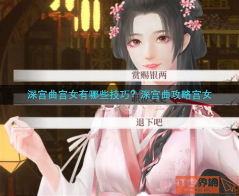 【疑惑解答】当深宫曲宫女满额，如何巧妙应对？ 4