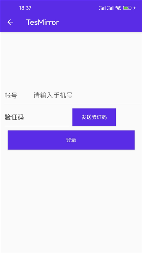 Tesmirror App投屏软件 截图3