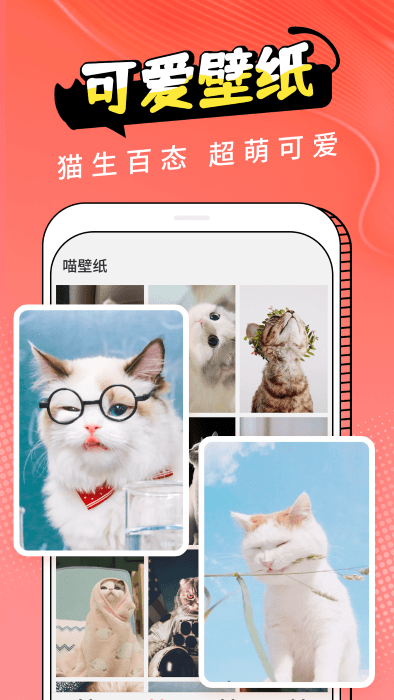 图饰猫翻译app v2.3 截图4