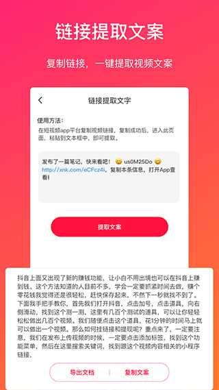 视频转文字 截图4