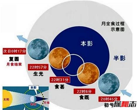 月食下的恋爱研习社：探索爱情奥秘的独特视角 4