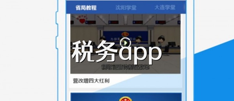 税务app